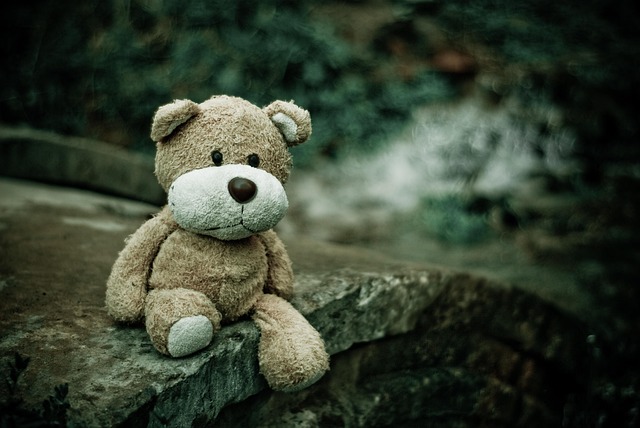 retail education atmosphere with plush toys on a display table and training notes